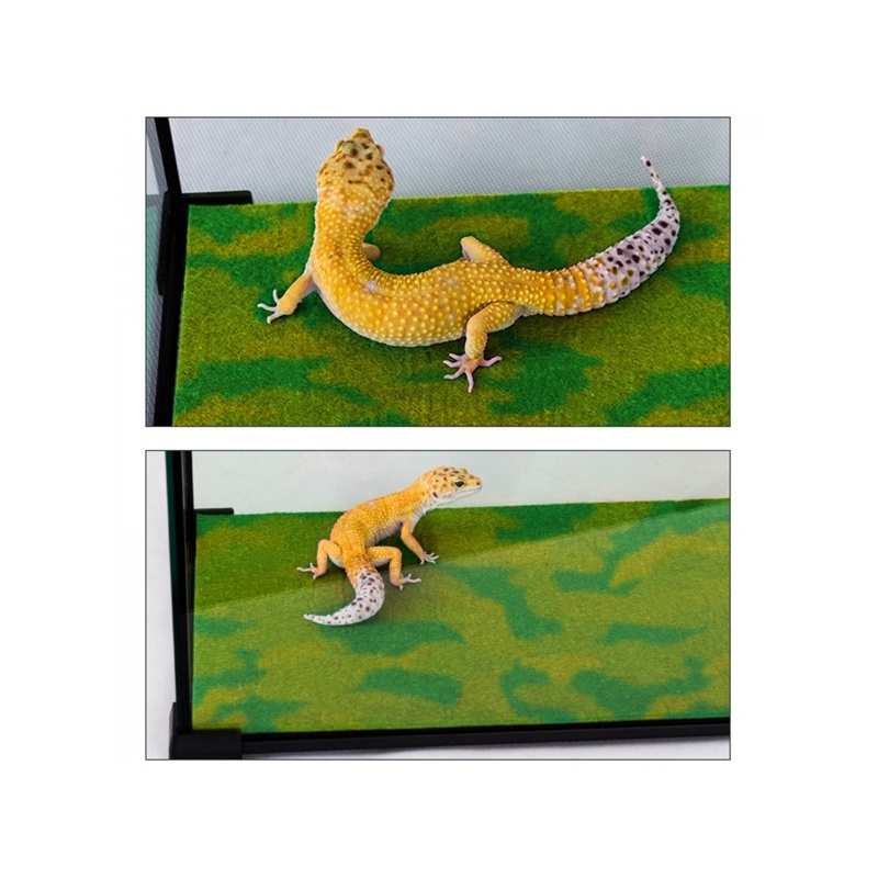 repti-zoo-carpet-mat-pod-83.jpg