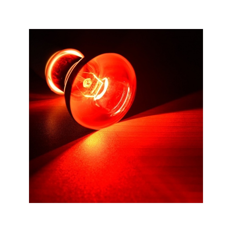 super-reptile-red-50w-po-2.jpg