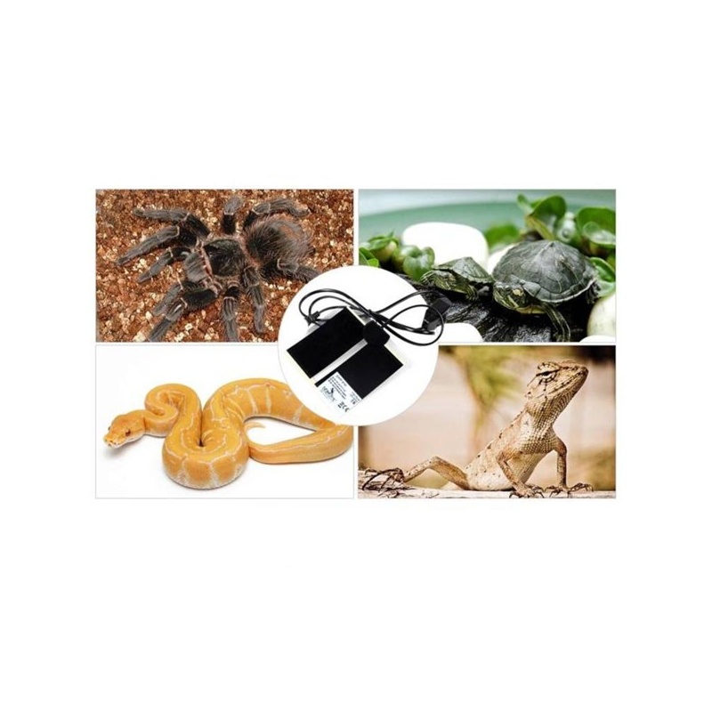 terrario-premium-repti-p-11.jpg