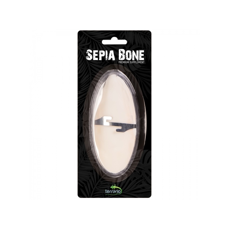 terrario-sepia-bone-sepi-5.jpg
