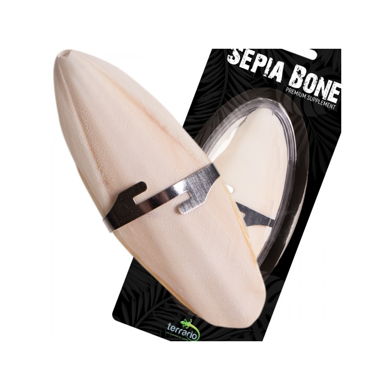 terrario-sepia-bone-sepi-6.jpg