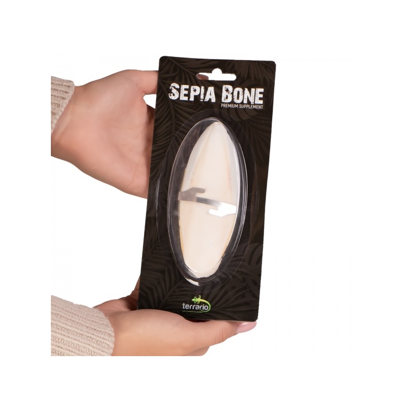 terrario-sepia-bone-sepi-7.jpg