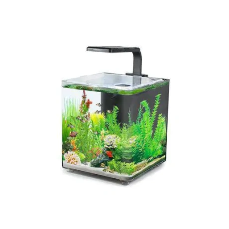 Akvārijs AQUACLEAR DESKTOP TANK AC10 9,4L 243x203x233mm