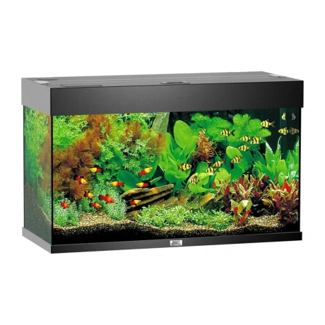 **Akvārijs Rio 125 L melns