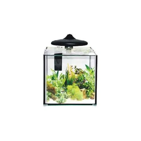Akvārijs CLEAR CUBE CC30 KOMPLEKTS 32L 350x320x318mm