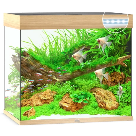 Аквариум Lido LED 200 L светлое дерево
