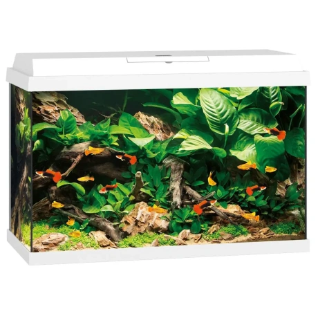 Akvārijs Primo LED 70 L balts