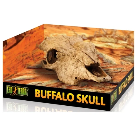 EXO TERRA Buffalo galvaskauss