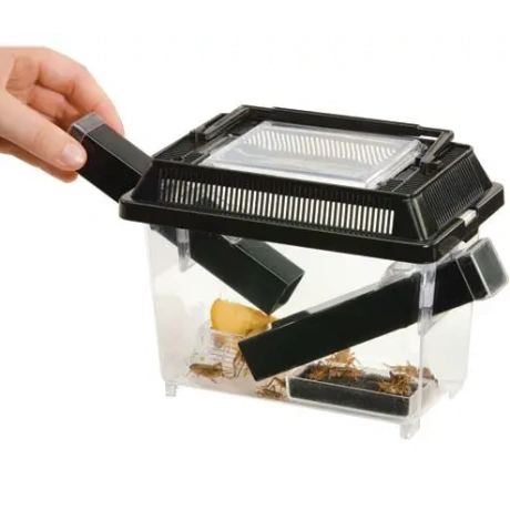 EXO TERRA Cricket Pen S Feeder terārijs (18x14x11 cm)
