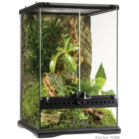 Stikla terārijs EXO TERRA Mini Tall (30x30x45 cm)