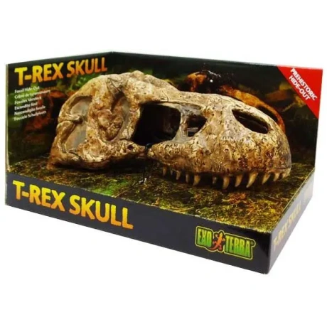 EXO TERRA T-Rex galvaskauss (dinozauru galvaskauss)