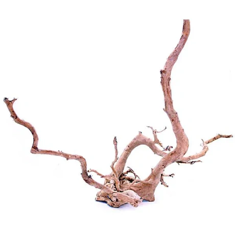 Snag Red Moor koks - L