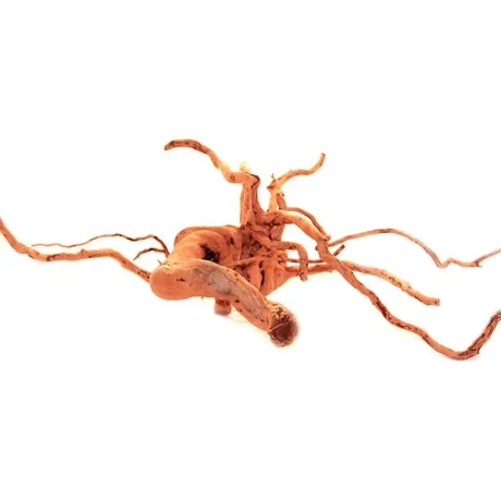 Driftwood Red Moor koks - M