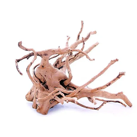 Snag Red Moor koks - S