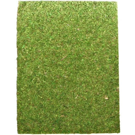 Repti-Zoo Natural Moss Back&Bottom - фон и подложка из мха 50x25 см