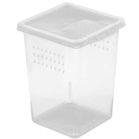 Terrario Insect Box High - пластиковый террариум 9x9x11 см
