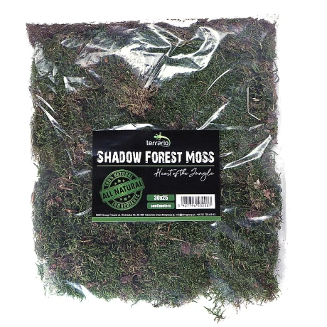 Terrario Shadow Forest Moss - натуральный мох 35x30 см