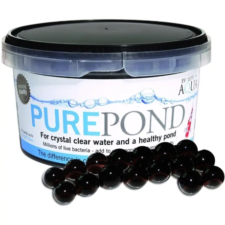 Evolution Aqua Pure Pond 1000 ml - baktērijas filtram