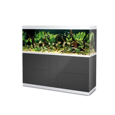 OASE HighLine 600 Optiwhite antracīts
