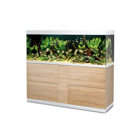 Oase HighLine optiwhite 600 ozols