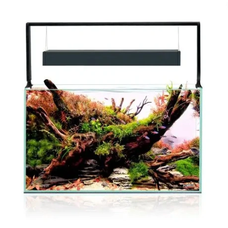 Akvārija komplekts Aquael ULTRASCAPE 60 Forest
