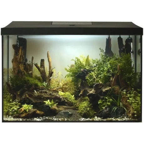 Aquael LEDDY60 XL Day&Night - melns