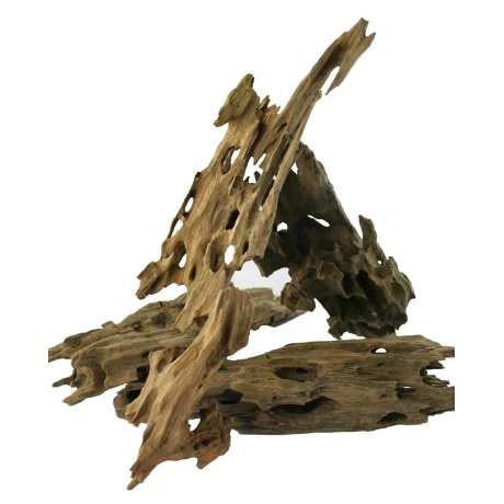 DRAGON WOOD 1KG