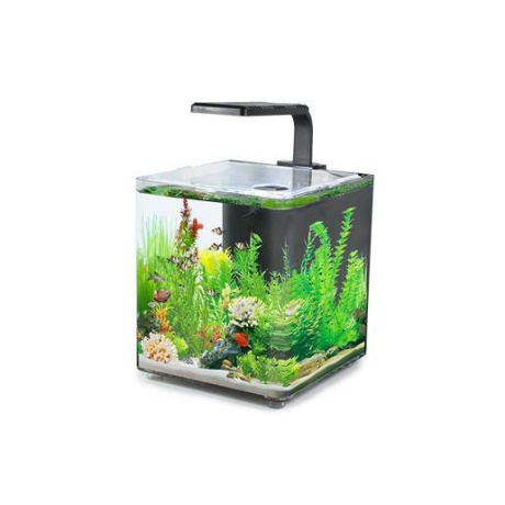 Akvārijs AQUACLEAR DESKTOP TANK AC10 9,4L 243x203x233mm