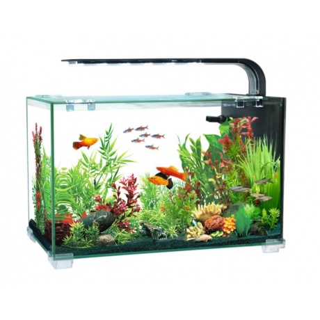 Akvārijs AQUACLEAR DESKTOP TANK AC16 13L 356x206x234mm
