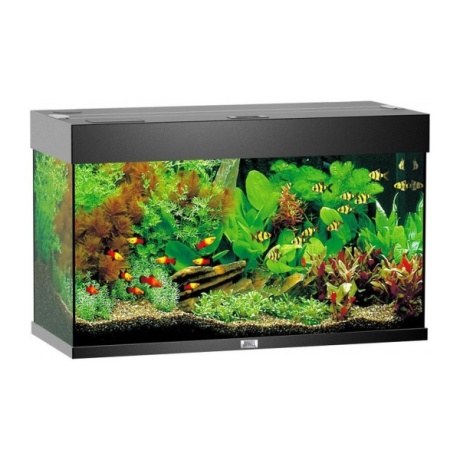 **Akvārijs Rio 125 L melns