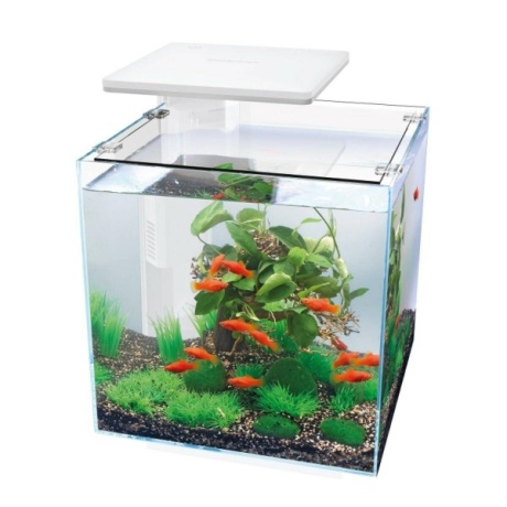 Akvārijs QB-30 LED 30L balts 320x320x320mm
