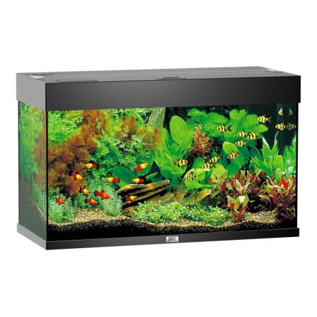 Akvārijs Rio LED 125 L melns