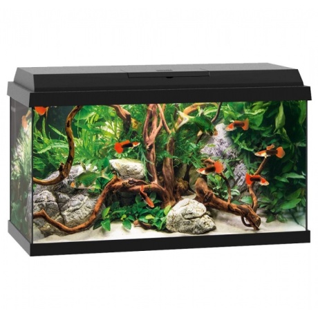 Akvārijs Primo LED 60 L melns