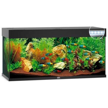 Akvārijs Rio LED 240 L melns