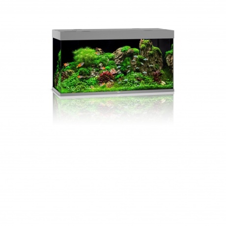 Akvārijs Rio LED 350 L pelēks