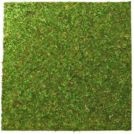 Repti-Zoo Natural Moss Back&ampBottom - моховой фон и субстрат 20x20 см