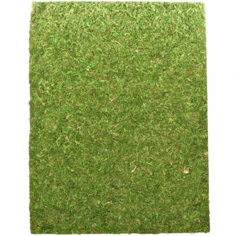 Repti-Zoo Natural Moss Back&Bottom - фон и субстрат из мха 20x30 см