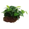 10236-2-31-3.jpg.webp