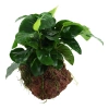 10236-3-25-56.jpg.webp