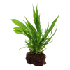 10238-3-9-2-5.png.webp