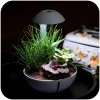 3613-chihiros-tiny-terrarium-1.jpg.webp