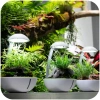 3613-chihiros-tiny-terrarium-2.jpg.webp