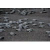 3659-exo-terra-black-sand-45k-3.jpg.webp