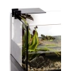 3899-123968-aquaterrarium-60-06-295.webp.webp
