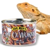 4137-zoomed-can-o-crickets-po-11.jpg.webp