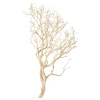 4313-korzen-dekoracyjny-drift-wood-1.png.webp