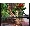 4568-repti-zoo-terrarium-rk-4-27.jpg.webp