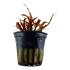 5133-2-12-344.png.webp