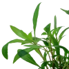 5318-3-7-482.png.webp
