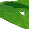 5318-4-4-671.png.webp